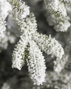 Árvore De Natal Com Micro LED Embutida